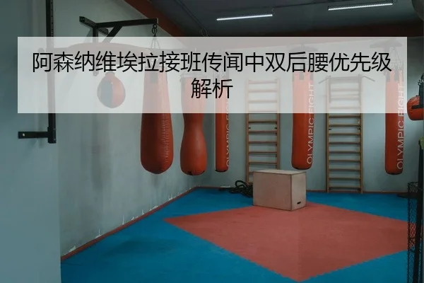 a-sen-na-wei-ai-la-jie-ban-chuan-wen-zhong-shuang-hou-yao-you-xian-ji-jie-xi-2-860.jpg